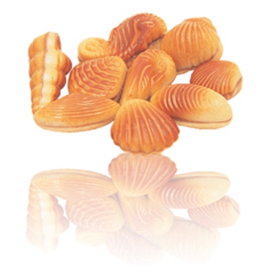 Belgian Delights - Gourmet Chocolates - Sea Shells