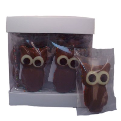 Choc Gallery - Owl - Milk Choc Freckle/Mini M&M - Counter Displays