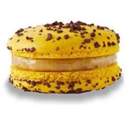 [CC010c] Cacao - Macarons - Passionfruit Macadamia - GF