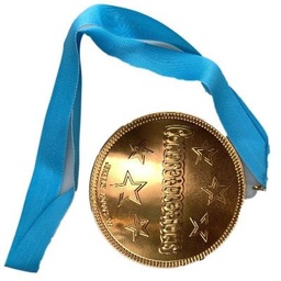 [ST35c] Steenland - Chocolate Novelty - Congratulations