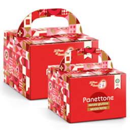 [IA01] IL Pane Di Anna - Christmas Panettone Cake - Small